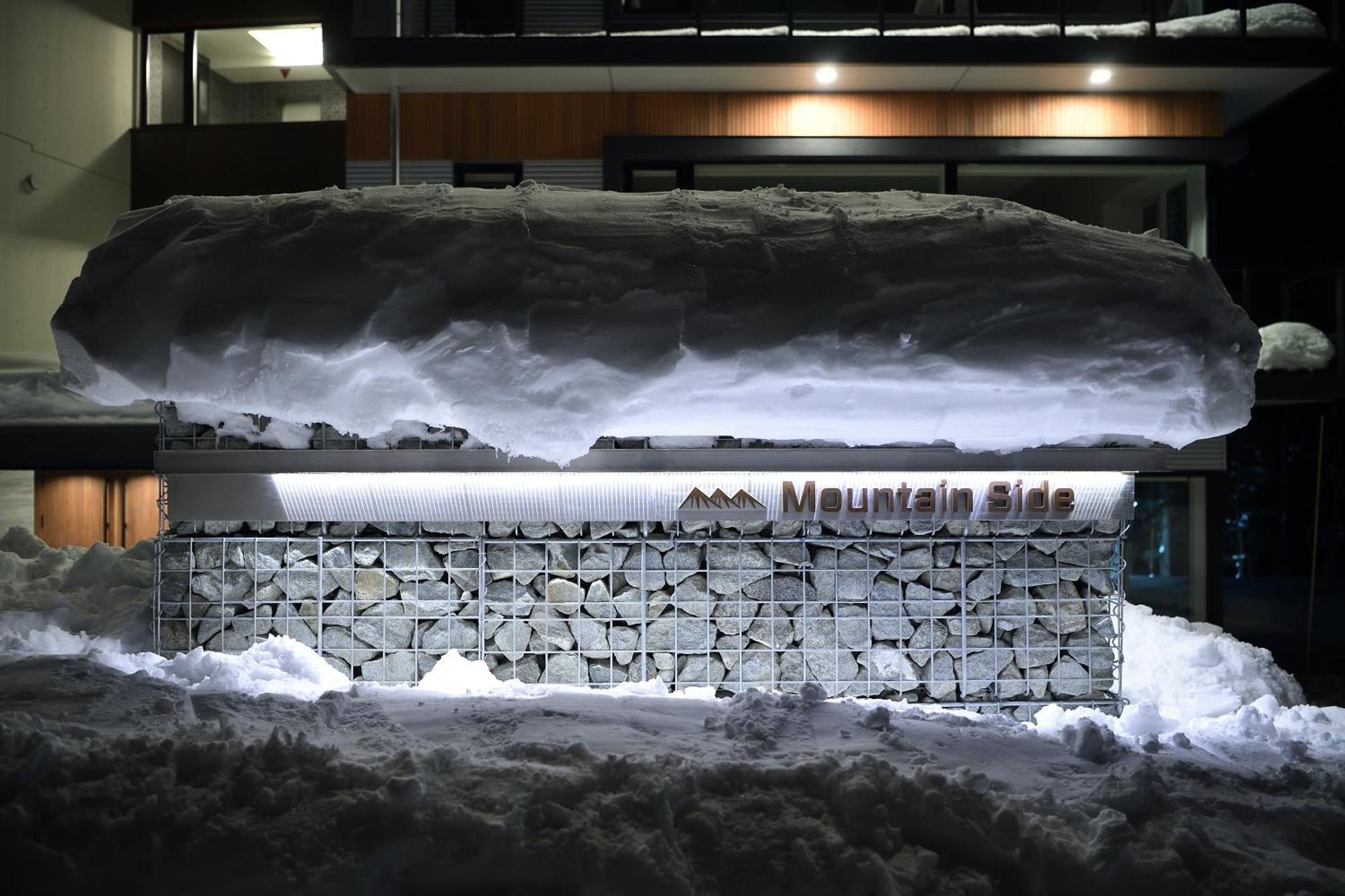 Hotel Mountain Side Hakuba Extérieur photo